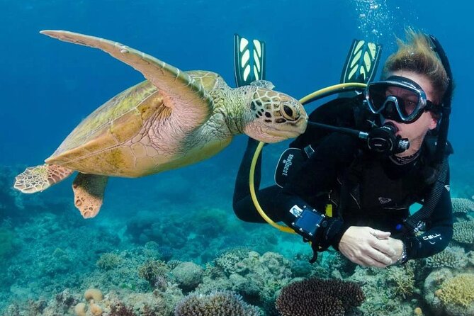 Diving