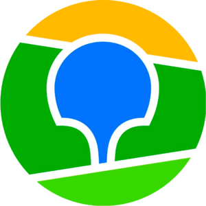 website icon