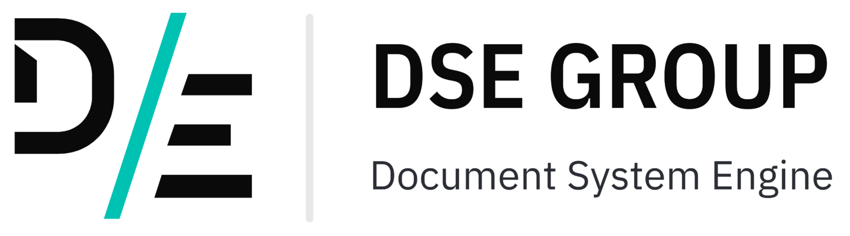 DSE GROUP